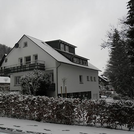 Ferienwohnung Haus Kloosterman Winterberg Bagian luar foto