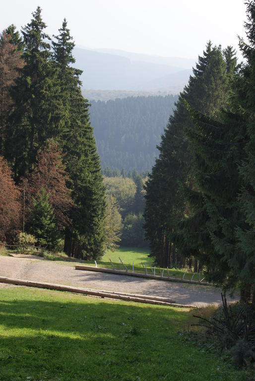 Ferienwohnung Haus Kloosterman Winterberg Bagian luar foto