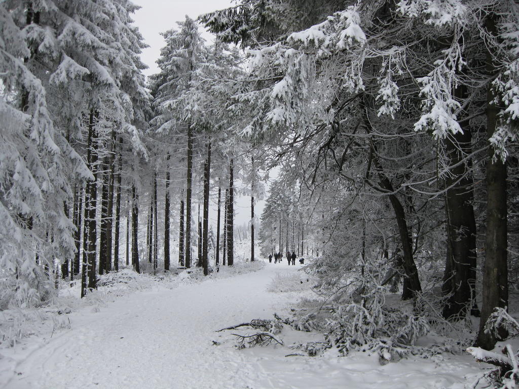 Ferienwohnung Haus Kloosterman Winterberg Bagian luar foto