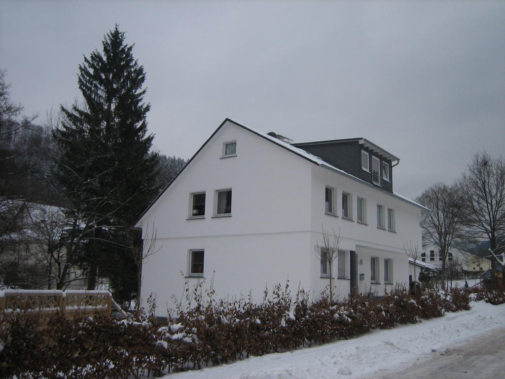 Ferienwohnung Haus Kloosterman Winterberg Bagian luar foto